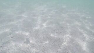 Île aux Cerfs - рыбы в лагуне: хроника 2015, вода и свет