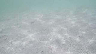 Île aux Cerfs - рыбы в лагуне: хроника 2015, вода и свет