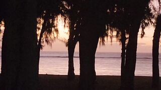 Flic en Flac → Île aux Cerfs — дорога к раю, где остановиться на рыбалку?