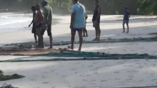 Mahé, Beau Vallon - уловы на рассвете: морская рыбалка на пляже