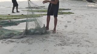 Mahé, Beau Vallon - уловы на рассвете: морская рыбалка на пляже