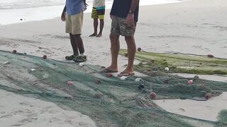 Mahé, Beau Vallon - уловы на рассвете: морская рыбалка на пляже