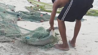 Mahé, Beau Vallon - уловы на рассвете: морская рыбалка на пляже