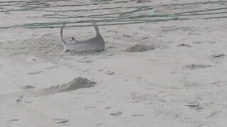 Mahé, Beau Vallon - уловы на рассвете: морская рыбалка на пляже