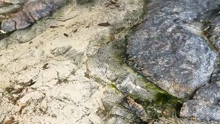 Beau Vallon, Mahé — кромка свала под лодкой, подойдёт ли спиннинг?