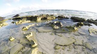 Silhouette Island - ещё рыбы рифа, хищники в проходах прилива