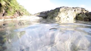 Silhouette Island - ещё рыбы рифа, хищники в проходах прилива