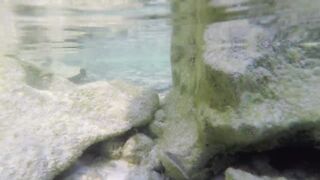 Silhouette Island - ещё рыбы рифа, хищники в проходах прилива