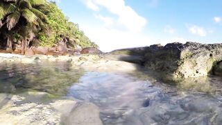 Silhouette Island - ещё рыбы рифа, хищники в проходах прилива