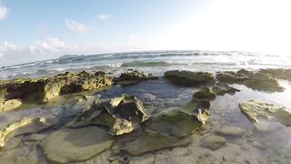 Silhouette Island - ещё рыбы рифа, хищники в проходах прилива