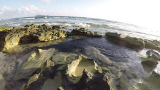 Silhouette Island - ещё рыбы рифа, хищники в проходах прилива