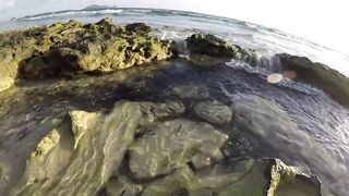 Silhouette Island - ещё рыбы рифа, хищники в проходах прилива