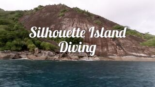 Silhouette, Сейшелы — дайвинг сегодня, морская рыбалка завтра?