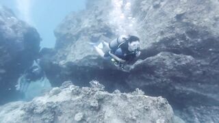 Silhouette, Сейшелы — дайвинг сегодня, морская рыбалка завтра?