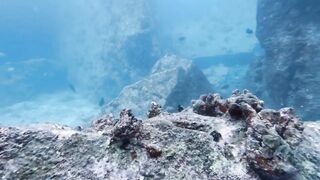 Silhouette, Сейшелы — дайвинг сегодня, морская рыбалка завтра?