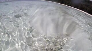 Silhouette Island - рыбы у рифа, подводные наблюдения у курорта