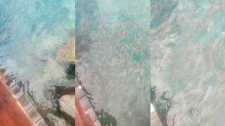 Silhouette Island: рыба в тёплой воде — стоит ли пробовать микроджиг?