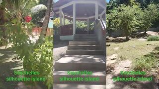 Силуэт, Сейшелы: гигантская черепаха и морская рыбалка у кромки рифа