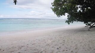 Silhouette Island, Hilton Labriz - кто водится на домашнем рифе