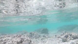 Silhouette Island, Hilton Labriz - кто водится на домашнем рифе