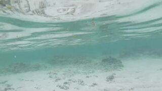 Silhouette Island, Hilton Labriz - кто водится на домашнем рифе