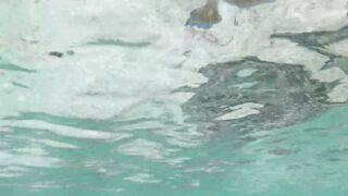 Silhouette Island, Hilton Labriz - кто водится на домашнем рифе