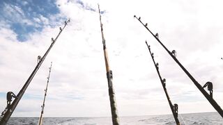 Denis Island, Сейшелы - красота острова и морская рыбалка у бровки