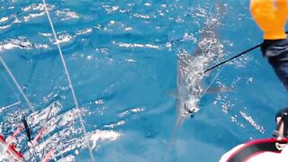 Denis Island, Сейшелы - красота острова и морская рыбалка у бровки