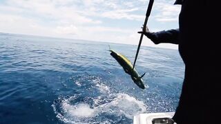 Denis Island, Сейшелы - красота острова и морская рыбалка у бровки