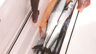 Denis Island, Сейшелы - красота острова и морская рыбалка у бровки