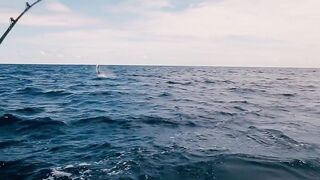 Denis Island, Сейшелы - красота острова и морская рыбалка у бровки