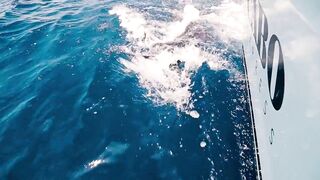 Denis Island, Сейшелы - красота острова и морская рыбалка у бровки