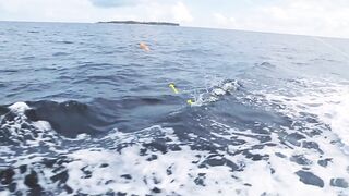 Denis Island, Сейшелы - красота острова и морская рыбалка у бровки