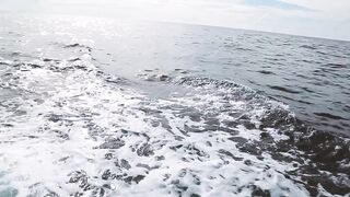 Denis Island, Сейшелы - красота острова и морская рыбалка у бровки