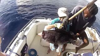 Denis Island - донная морская рыбалка на бровке, снасти и насадки