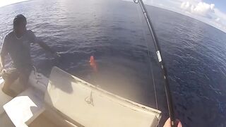 Denis Island - донная морская рыбалка на бровке, снасти и насадки