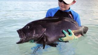 Denis Island - донная морская рыбалка на бровке, снасти и насадки