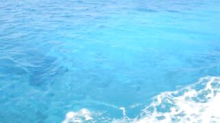 Denis Island - донная морская рыбалка на бровке, снасти и насадки