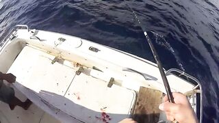 Denis Island - донная морская рыбалка на бровке, снасти и насадки