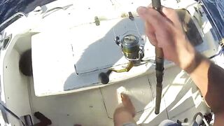 Denis Island - донная морская рыбалка на бровке, снасти и насадки