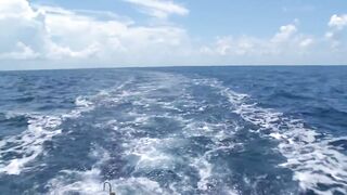 Сейшелы, Desroches - морская рыбалка на свалах и в лагуне