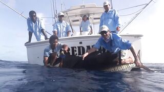 Сейшелы, Desroches - морская рыбалка на свалах и в лагуне