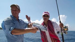 Сейшелы, Desroches - морская рыбалка на свалах и в лагуне