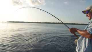 Сейшелы, Desroches - морская рыбалка на свалах и в лагуне