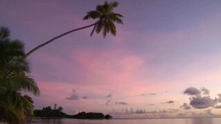 Сейшелы, Desroches - морская рыбалка на свалах и в лагуне