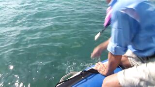 Сейшелы, Desroches - морская рыбалка на свалах и в лагуне