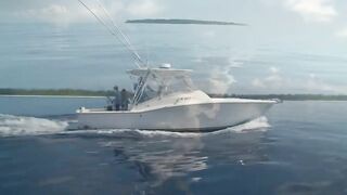 Сейшелы, Desroches - морская рыбалка на свалах и в лагуне