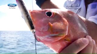 Desroches - Freespool, эпизод 23: главные поклёвки и кадры