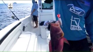 Desroches - Freespool, эпизод 23: главные поклёвки и кадры