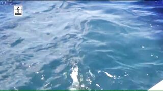 Desroches - Freespool, эпизод 23: главные поклёвки и кадры